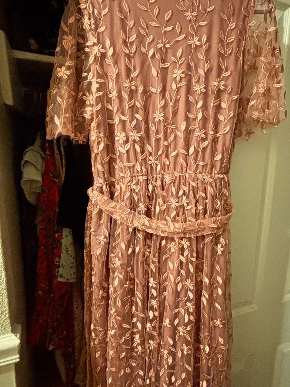 Baltic Born Dusty Rose Embroidered Floral Maxi Dress - Picture 5 of 10